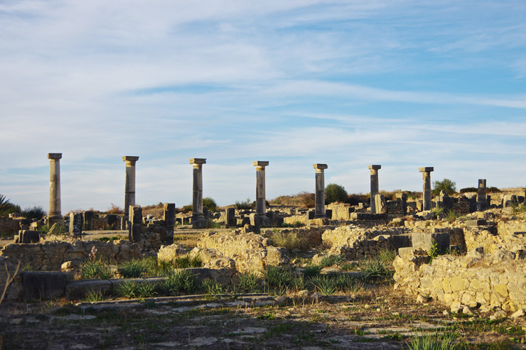 ヴォルビリスの古代遺跡