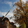 アウシュヴィッツ・ビルケナウ　ナチスドイツの強制絶滅収容所（1940-1945） | ポーランドの世界遺産