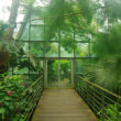 シンガポール植物園（Singapore Botanic Gardens）