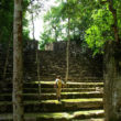 カンペチェ州カラクムルの古代マヤ都市と熱帯保護林 | メキシコの世界遺産