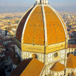 屋根のない博物館『フィレンツェ歴史地区』| イタリアの世界遺産