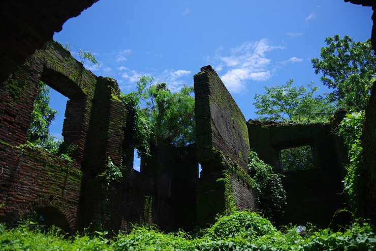 パオアイのサン・オウガスチン教会の隣にある草木が生い茂る廃墟の写真