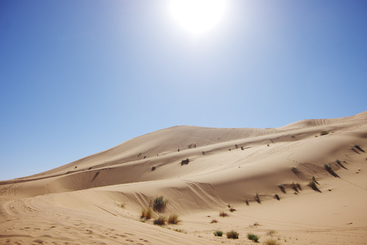 世界最大の砂漠、サハラ砂漠