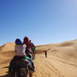 サハラ砂漠、1泊2日のラクダツアー